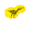 Baryonyx
