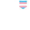 LGBTQ Transgender Pride Flag Bag