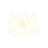 Tinte Mama Tinte Mama Gift