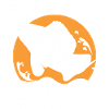 Fun fishing