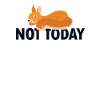 Not Today Grauhörnchen Squirrel Fuchshörnchen