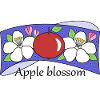 Apple blossom