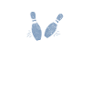 bowling pins