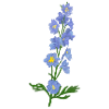 Geburtsblume Juli Rittersporn