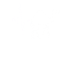 Dromedary Camel Heartbeat