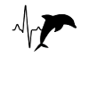 Dolphin Heartbeat