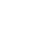 Dromedary Camel Heartbeat