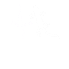 Lizard Heartbeat