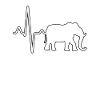 Elefant Herzschlag