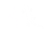 Lizard Heartbeat