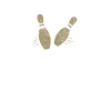 bowling pins