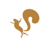 Eichhörnchen