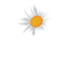 Responsable de jardin Gärtner