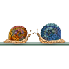 Snails