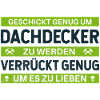 Geschickt & Verrückt – Dachdecker Statement Design