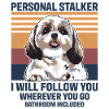 Hund Personal Stalker Shih Tzu