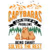 Capybara Gift Capybara Capibara