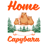 Capybara Accueil Capybara Capibara