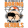 Gerbil Gift Racing Rat Germesau