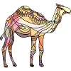 Camel