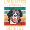 Bernese Mountain Dog Dog