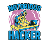 Programmer Coder Software Developer