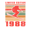 Skier Skier Cross-country skiing 1988