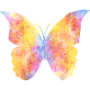 Butterfly Mandala Women Girl