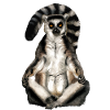 Lemur Katta