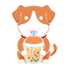 Bubble Tea Hund