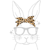 Cute Rabbit Leopard Rabbit