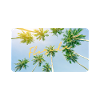 Florida