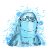 Dolphin
