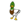 Canard colvert kawaii