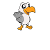Kawaii Seagull