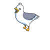 Kawaii Silver Gull