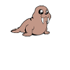 Kawaii Walrus