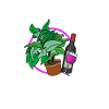 Vine Plants Gift