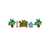 Drink plant gift