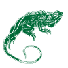iguane