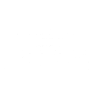 Schwerre knochen