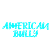 American Bully