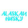 Alaskan Husky
