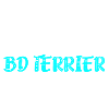 BD Terrier