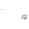 Walking Dog