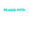 Beagle Pits