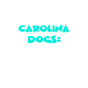 Carolina Dogs