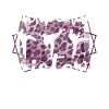 Fière Taekwondo Sœur Taekwondo Sœur