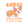 Corgi
