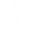 Giraffe Herzschlag